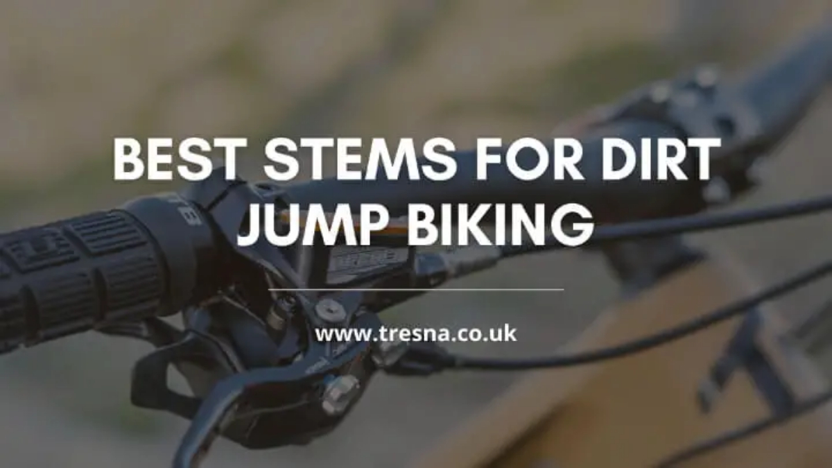 Best Dirt Jump Stems of 2024 | Our Picks for Strong, Reliable DJ Stems