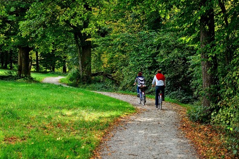 The Coexistence of Mobility Scooters and Bikers on Shared Trails